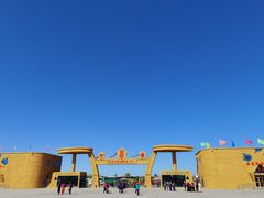 -金塔沙漠胡杨林景区