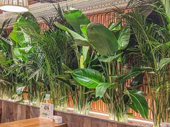 -云阿蛮云南生烫牛肉米线(奉贤路店)