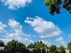 -玉塘村小杨馄饨