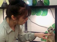 -藦茜花园宠物主题亲子互动体验馆(国顺东路店)