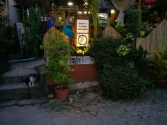 -Jungle Kitchen