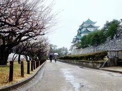 -名古屋城