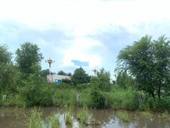 -蒲河岛湿地公园