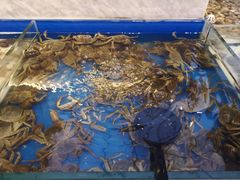 -川骄海鲜自助(河东店)