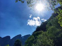 -青峰峡国家森林公园