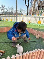 -萌宠亲子动物乐园(槐房万达店)