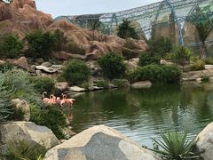 -芽庄珍珠岛游乐园