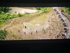 -龙之星国际影城(太平店)