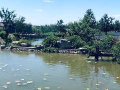 -静之湖湖畔餐厅