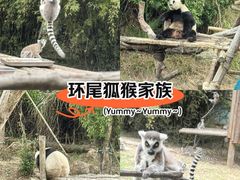 -宁波野生动物园