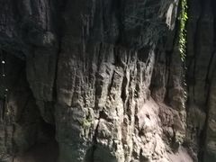 -阿依河景区