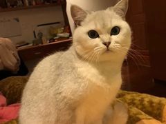 -荔康动物医院(康王北路店)