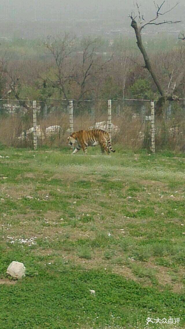 西安秦嶺野生動物園圖片 - 第4098張