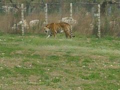 -西安秦岭野生动物园