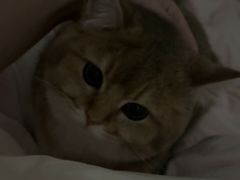 -中农国际动物医院24小时·猫科·骨科·急重症中心