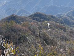 -大岭沟猕猴桃谷风景区