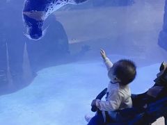 -哈尔滨波塞冬海底世界