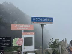 -天柱山风景区