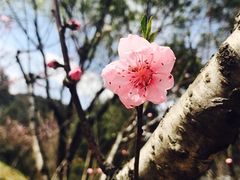 -打绳米面老店(打绳巷二中店)