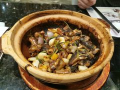 -新兴·金羊座·粤菜点心(乐峰店)