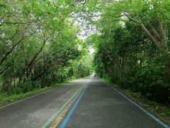 -盐城丹顶鹤湿地生态旅游区