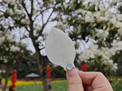 -广州市石门国家森林公园