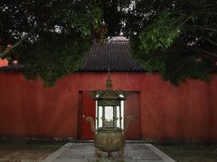 -观潮胜地公园