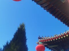 -天津大悲禅院