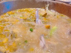 -石锅苗苗鱼(武汉首店)