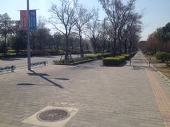 iphone_upload_pic-新江湾城公园