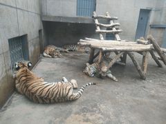 -西安秦岭野生动物园