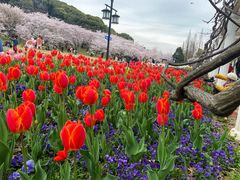 -苏州上方山国家森林公园