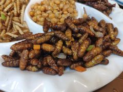-老崇左特色风味食馆
