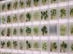 -广东中医药博物馆
