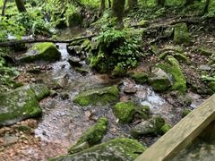 -五女峰国家森林公园