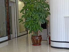 -微笑牙科口腔(三亚迎宾院区)