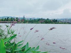 -枫香湖儿童公园