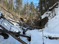 -峡谷浮石林景区