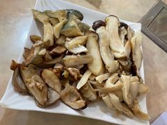 -蘑统田下·野生菌火锅