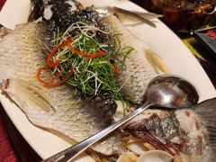 清蒸水乡大山坑鲩鱼-东馆和天下特色餐饮(工农店)