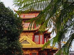 -龙潭水乡