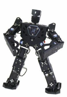 -乐博乐博机器人学校(周浦校区)