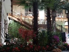 -太湖饭店玉兰厅(自助餐厅)