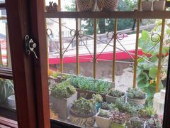 -春风十里咖啡馆