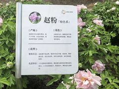 -太阳宫公园