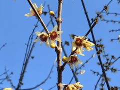 -泰山风景名胜区-普照寺