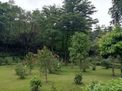 -云溪植物园