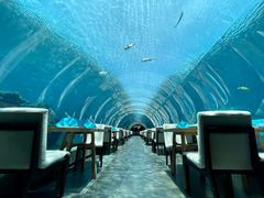 -涛·海底餐厅·美人鱼·自助餐·海底隧道(三亚海棠湾洲际度假酒店)