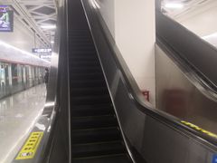 -野芷湖(地铁站)
