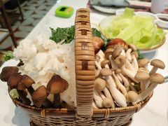 -洪氏嗨捞·广东猪肚鸡·椰子鸡火锅(西咸万象城店)